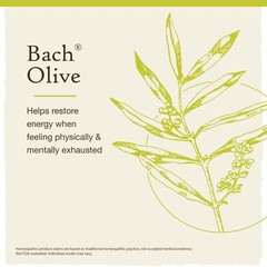 Bach Flower Essences Olive 0.7 Fl Oz Restores Energy and Vitality
