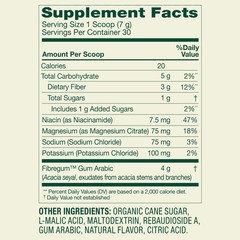Spring Valley Daily Fiber + Electrolytes with Acacia Fiber Prebiotic Digestiv…