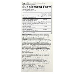 2 X Garden of Life, Herbals, Brain Health, Mint, 30 Vegan Capsules