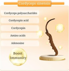 Cordyceps Extract Supplement Immune & Kidney Health w/ Cordyceps Sinensis 120ct.