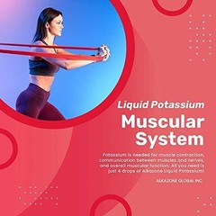 Liquid Potassium Supplement | Fast Absorption, Concentrated, Tasteless | 1.25 Oz