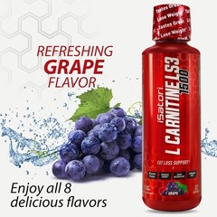 Isatori Liquid L-Carnitine LS3 1500 Grape 16 fl.oz / 480 mL Each (Pack of 3)
