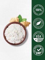Probiotic and Prebiotic Powder | 4.76 Oz | 20 Billion CFU | by Carlyle