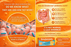 Sinuberase (10 ) Bacillus Clausii Probiotic 4 Billion Cfu/5Ml