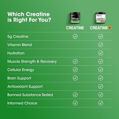 Hydration & Strength Booster: Creatine Monohydrate Strawberry Peach, 40 Servings