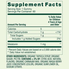 Spring Valley Kids Melatonin Gummies Raspberry 1 mg 60 Count