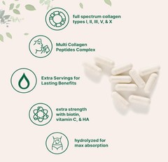 MicroIngredients Multi-Collagen Complex 240 Caps – Types I II III V X Hydrolyzed