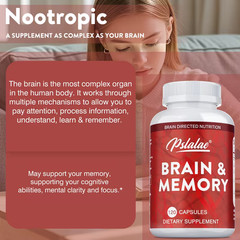 Brain & Memory – with Ginkgo Extract – Supports Brain Blood Circulation, Attenti