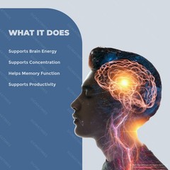 HarmoBrain Capsules – Harmo Brain Supplement for Memory, Focus & Energy – 2 Pack