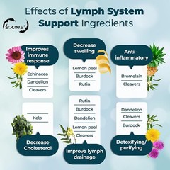 Lymph System Support Supplement with Extract Echinacea Purpurea Dandelion USA