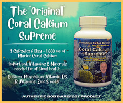 Coral Calcium Supreme 6 – 90ct Bottles by Robert Barefoot