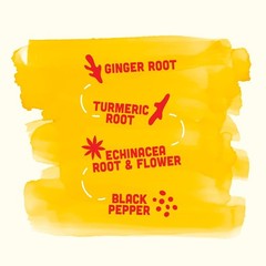 Vive Organic Immune Support Shot, Cold-Pressed Ginger, Turmeric (Pack of 12)