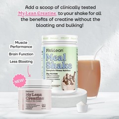 Meal Replacement Shake 1lb Chocolate Protein 28g Fiber Probiotics Gut Health