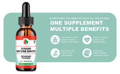 (3 Pack) Sugar Nature Drops Premium Blood Support Supplement, SugarNature (6oz)