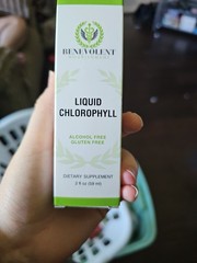 Benevolent Nourishment Liquid Chlorophyll Alcohol Free Peppermint 2 fl oz