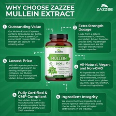Zazzee Mullein 10:1 Extract, 3000 mg Strength, 60 Vegan Capsules, Kosher