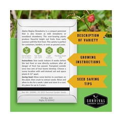 Survival Garden Seeds Alpine Regina Strawberry – 1 Packet of Fruit Seed with …