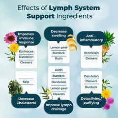 Lymphatic System Support Supplement, Detox Cleanse Vegan Capsules 60 Capsules US