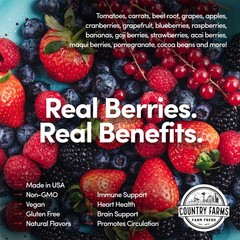 Super Reds, Energizing Polyphenol Superfood, 48 Super Fruits and Berries, Pow…