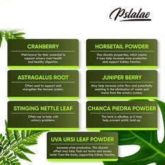 Kidney Health & Bladder Support – Detox & Repair, Urinary Tract Health & Bladder