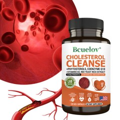 Cholesterol Cleanse Lower Cholesterol Healthy Heart Improve Your Immunity