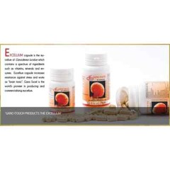 2x Gano Excel Excellium Ganoderma Lucidum Lingzhi 90 Capsules New