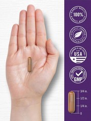 Resveratrol Supplement 1800mg | 180 Capsules | Non-GMO, Gluten Free | by Carlyle