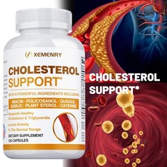 Cholesterol Support – Balance Cholesterol Supplement High Cholesterol Lowering