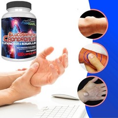 joint support Collagen Glucosamine Chondroitin hyaluronic acid MSM