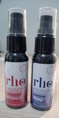 The complete RHO Stack