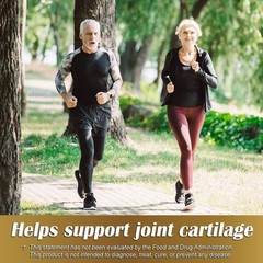 Joint Support Cartilage Complex 750mg100 Caps Mobility & Bone Health Supplement