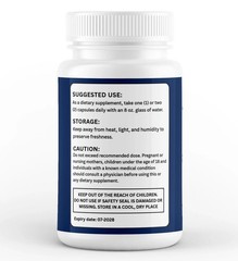 (3 Pack) BrainVex Nootropic All Natural Brain Supplement Brain Vex 60 Capsules