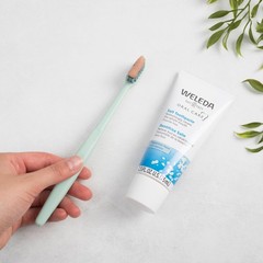 Weleda Natural Salt Toothpaste, 2.5 Ounce (Pack of 1) 2.5 Ounce (Pack of 1)