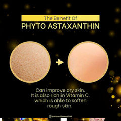 Phyto Astaxanthin Plus 30 caps Original Ship Frm Malaysia Glowing Skin New