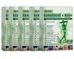 Moringa Berberine 10 in 1 Modern Nano Microneedle Patch for Weight Loss 6 PCS Pr