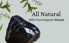 Authentic Himalayan Shilajit Gold Gummies With Organic Honey 4 Men Stamina