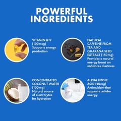 Yes You Can! Shake Booster High Energy Powder Drink Mix-Nutritional Drink with R