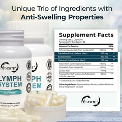 Lymph System Support Supplement with Extract Echinacea Purpurea Dandelion USA