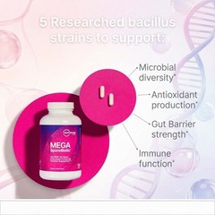 Mega SporeBiotic Spore Probiotic 4 Billion CFU Gut Immune Support 60 Capsules