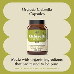 Organic Chlorella Powder Tablets – 100 Capsules 480mg