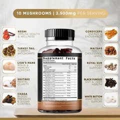 Mushroom Extract Complex Gummies Lions Mane Chaga Reishi Focus Memory Immunity