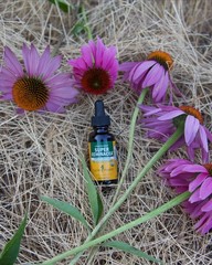 2/30 Herb Pharm Super Echinacea Liquid Extract Immune System Support – 4 Oz