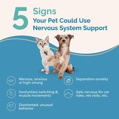 Holistic Herbal Nervous System Support Drops for Dogs and Cats – 2oz