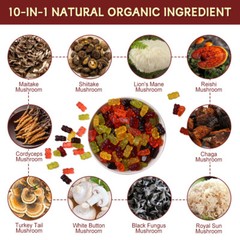 10x Mushroom Complex Gummies 2500mg, Lions Mane, Reishi, Shiitake, 3 x 60PCS