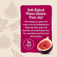 Nature’s Bakery Gluten Free Raspberry Fig Bars – 6 Twin Packs for Anytime