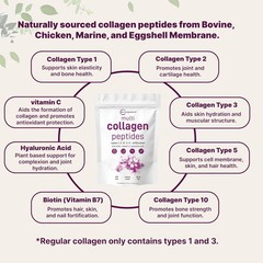 Type I II III V X Unflav – Micro Ingredients Multi Collagen Peptides Powder 16oz