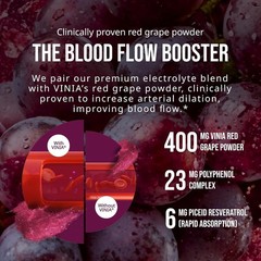 VINIA Resveratrol Electrolyte Hydration Powder Mix Summer Orange Blood Flow
