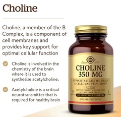 Solgar Choline 350mg 100 Vegetable Capsules Healthy Brain Cellular Function 9/28