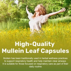 Mullein Leaf Capsules Extra Strength Support Respiratory Health Lung Detox 120Pc