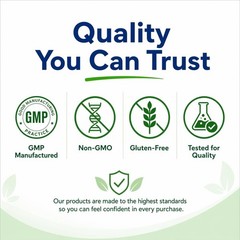 SAM-e and Silybin for Dogs – S-Adenosyl-L-Methionine, SAM-e for Medium SizedDog,